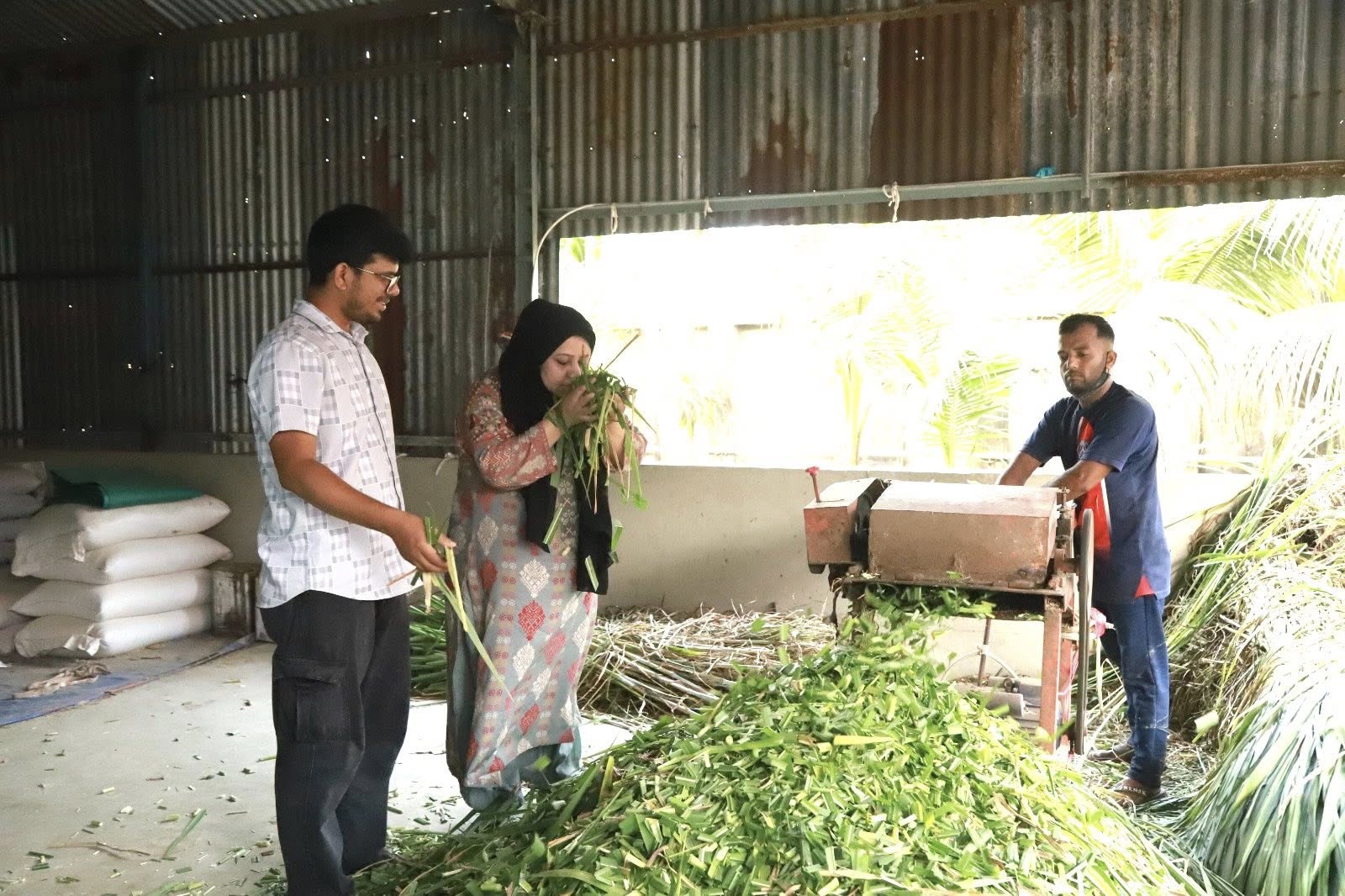 আমাদের খামার